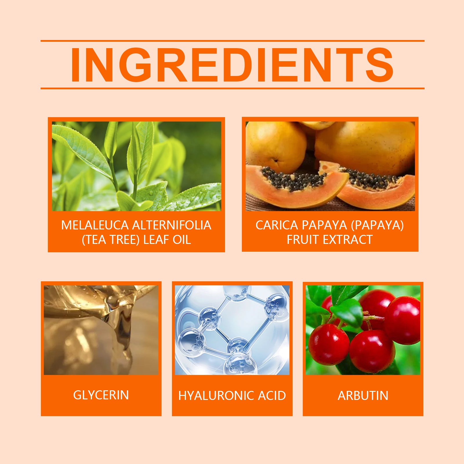 Papaya Gentle Face Wash Hydrating Moisturizing Cleanser
