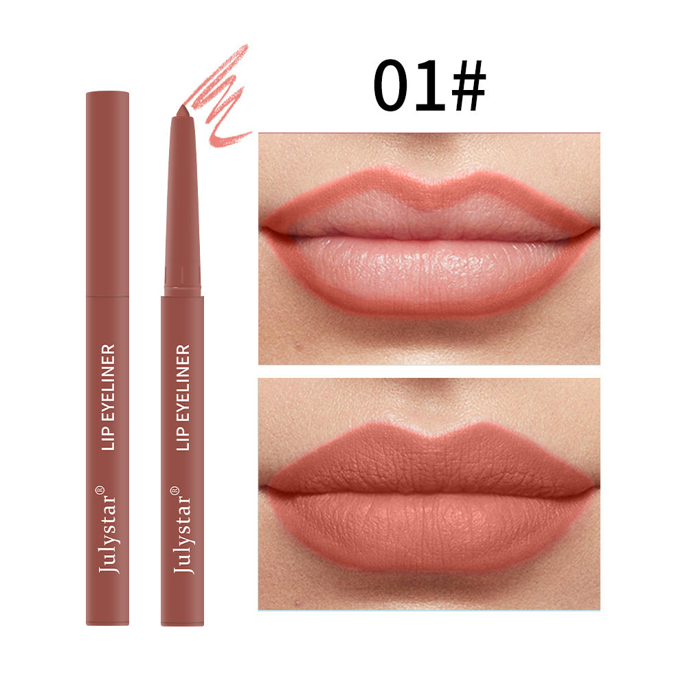 Waterproof Matte Pink Lipstick Lipliner Makeup