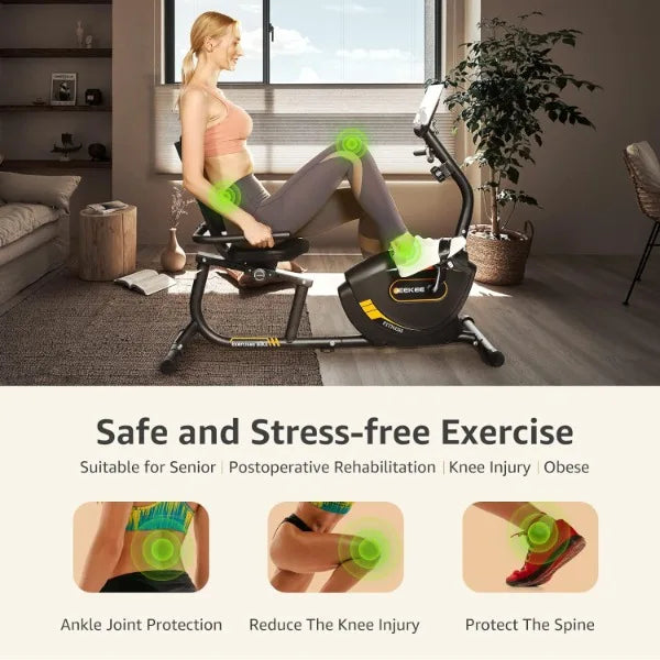 Recumbent Exercise Bike for Adults Seniors Home Workouts