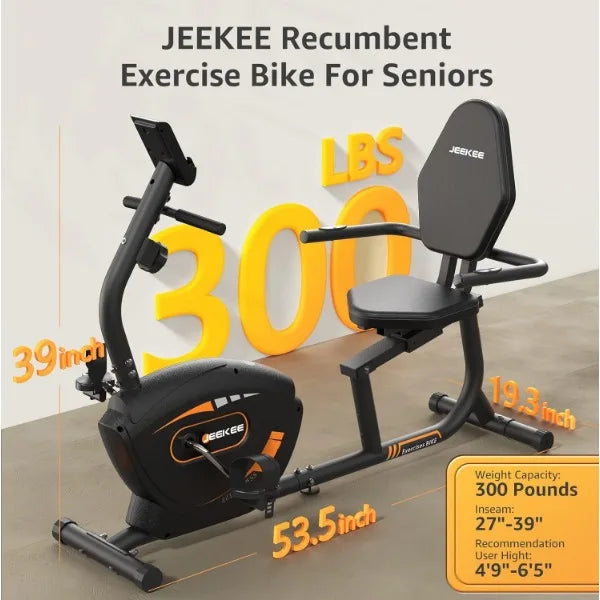 Recumbent Exercise Bike for Adults Seniors Home Workouts