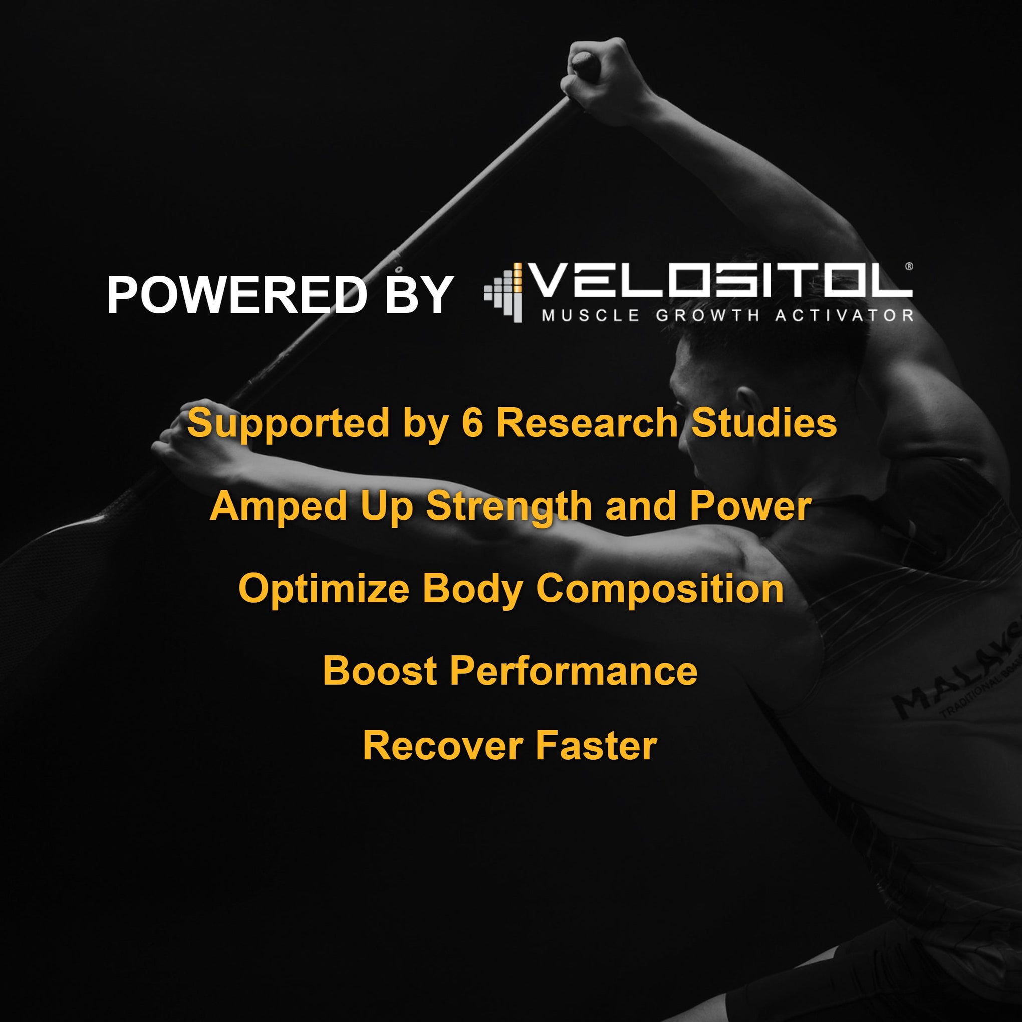 Plant-Based Sport Protein Powder for Fitness Support