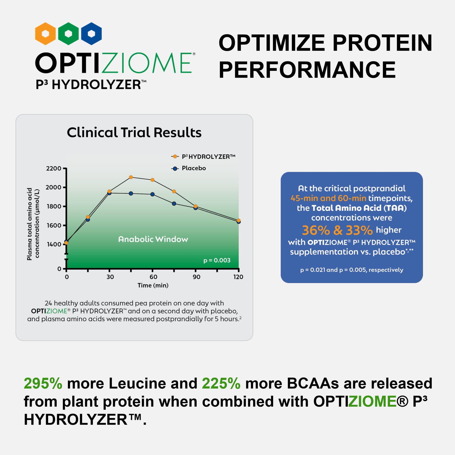 Plant-Based Sport Protein Powder for Fitness Support