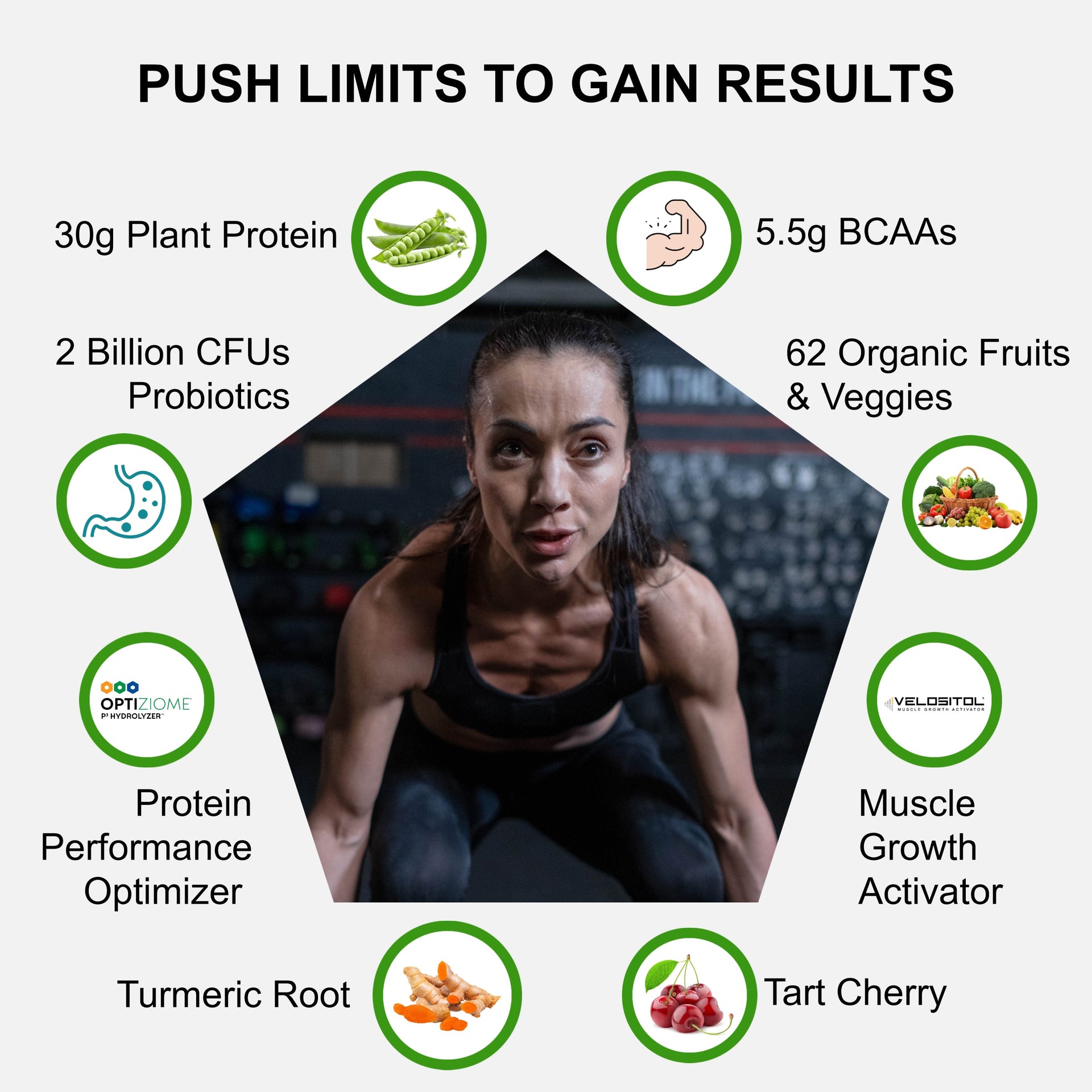 Plant-Based Sport Protein Powder for Fitness Support